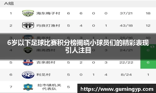 NG体育官方网站