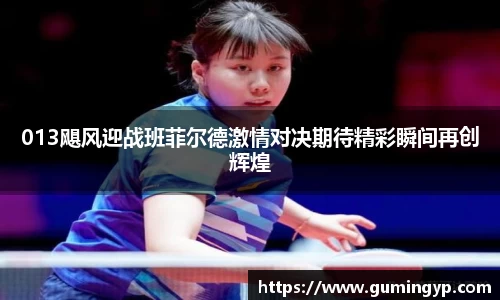 013飓风迎战班菲尔德激情对决期待精彩瞬间再创辉煌