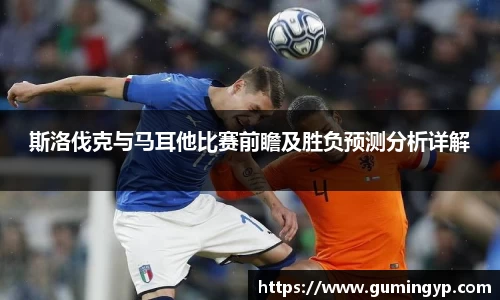 NG体育官方网站