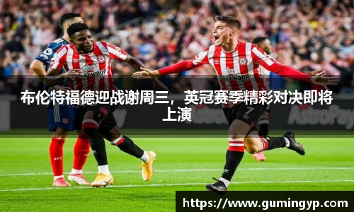 布伦特福德迎战谢周三，英冠赛季精彩对决即将上演
