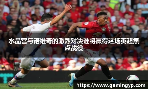 水晶宫与诺维奇的激烈对决谁将赢得这场英超焦点战役