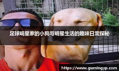 足球明星家的小狗与明星生活的趣味日常探秘
